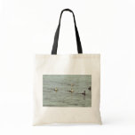 Common Eider Drakes and Hens bags