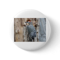 common flicker buttons