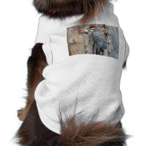 common flicker pet clothing by pinkypetals common flicker pet clothing