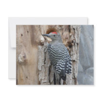 common flicker personalized invitation