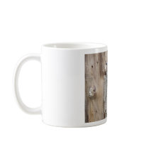 common flicker mugs by pinkypetals common flicker mugs