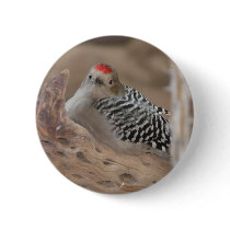 common flicker on nest 2 button