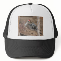 common flicker on nest 2 trucker hat