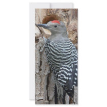 common flicker rack cards by pinkypetals common flicker rack cards
