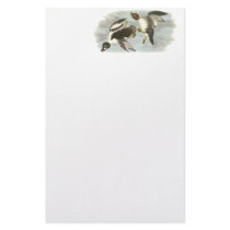 Common Goldeneye, John Audubon Stationery Paper