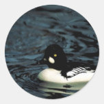 Common goldeneye sticker
