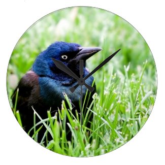 common grackle in the grass wall clock