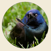 common grackle in the grass wall clock wall clocks