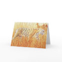 "Common Ground" Tiger in Grass cards by PaulJacksonart "Common Ground" Tiger in Grass cards