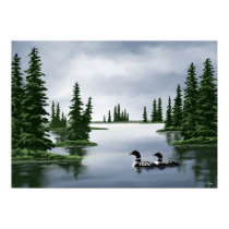 Common Loon Art Prints