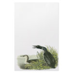 Common Loon, John Audubon Stationery Paper