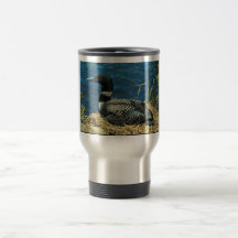 Common Loon Mugs