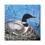 Common Loon on Nest Fridge Magnets