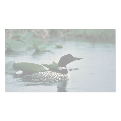 Common Loon on Water Business Card (back side)