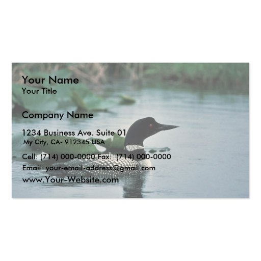 Common Loon on Water Business Card (front side)