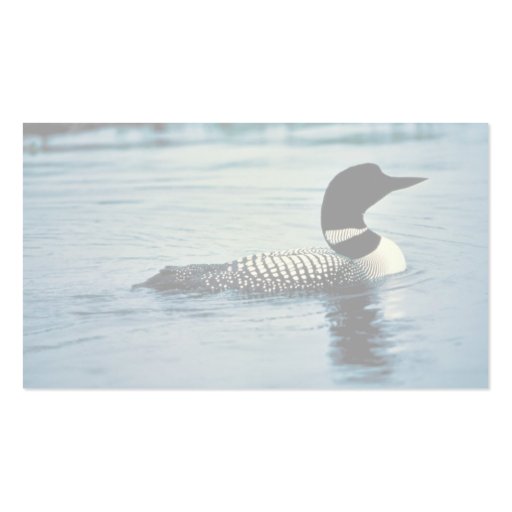 Common Loon on Water Business Card Template (back side)