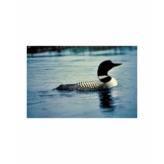 Common Loon on Water shirt