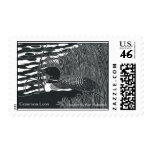 Common Loon Stamp By Ken Swanson stamps