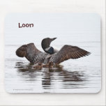 Common loon with chicks - mousepad mousepads