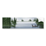 Common Loons Bumper Sticker
