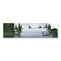 Common Loons bumper stickers