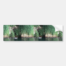 Common Merganser Brood Bumper Sticker
