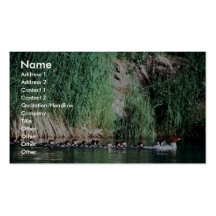 Common Merganser Brood Business Card Templates