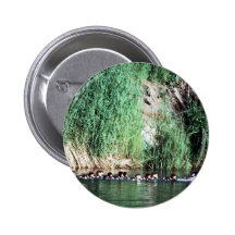 Common Merganser Brood Pins