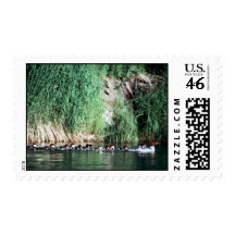 Common Merganser Brood Postage Stamp