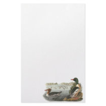 Common Merganser, John Audubon Stationery Paper