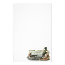 Common Merganser, John Audubon Stationery Paper