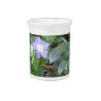 Common Periwinkle, Vinca Minor, on Roadside Beverage Pitchers
