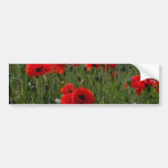 Common poppies flowers bumper sticker