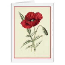 "Common Poppy" Botanical Illustration Card