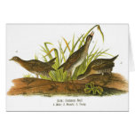 Common Rail Greeting Card