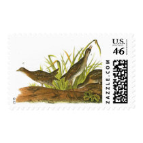 Common Rail postage by jarthurdavis Common Rail postage
