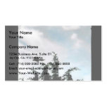 Common Raven Business Card