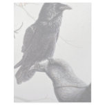 Common raven letterhead
