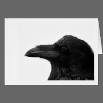 Common Raven Notecard cards