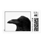 Common Raven postage