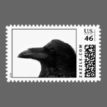 Common Raven stamps