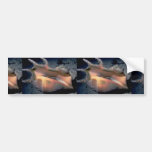 Common spider conch (Lambis lambis) Shell Bumper Sticker