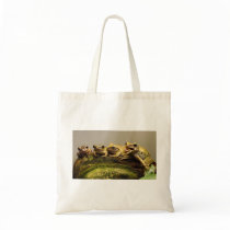Common Tree Frog Polypedates Leucomystax Bags