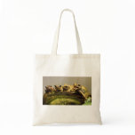 Common Tree Frog Polypedates Leucomystax bags