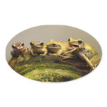 Common Tree Frog Polypedates Leucomystax Stickers