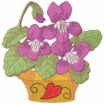 Common Violets In Pot Common Violets In Pot