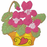 Common Violets In Pot