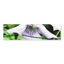 Common White Blue Dog Violet bumper stickers