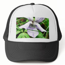 Common White Blue Dog Violet hats by lifesphere Common White Blue Dog Violet hats