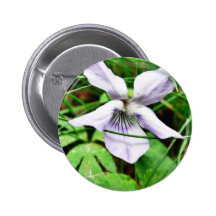 Common White Blue Dog Violet Pin